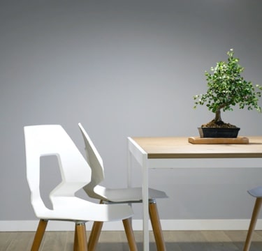 white chairs by a table with a bonsai tree on it